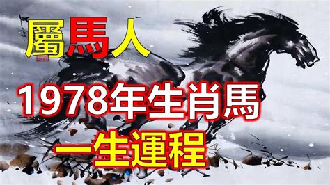 1978屬|【1978年屬什麼生肖】屬馬的一生：揭秘1978年屬馬的命運玄。